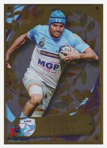 Panini rugby top 2025 - 14, 2025-2026