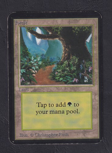 Magic mtg forest - magic,