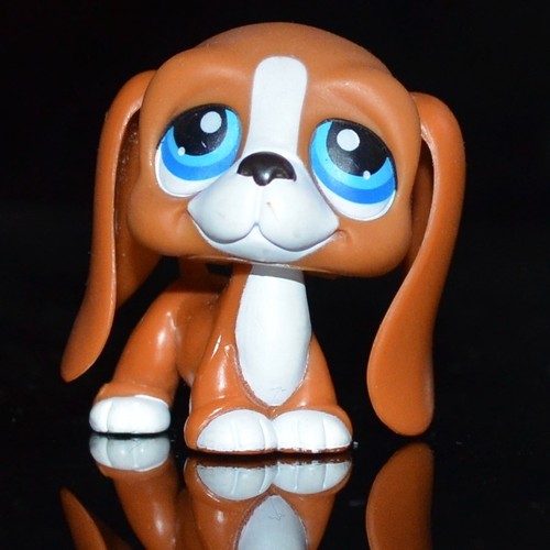Lps littlest petshop basset - lps,