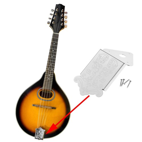 Plaque cordes mandoline - plaque,