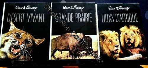 Collection walt disney désert - collection, disney=désert