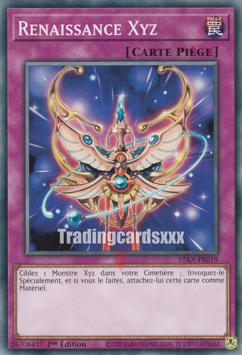 Renaissance xyz c - :,