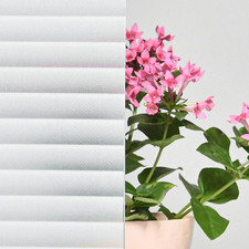 Pellicule pour Verre Fenêtres
