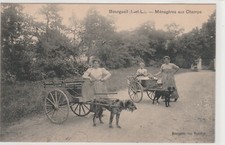 CPA """ BOURGUEIL ""ATTELAGES