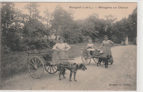Cpa bourgueil attelages - bourgueil, ""attelages