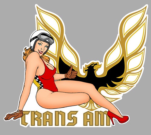 Pontiac trans right pin up - pontiac,