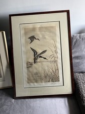 Gravure Léon Danchin Canards 