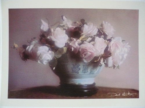 Carte postale david - postale,