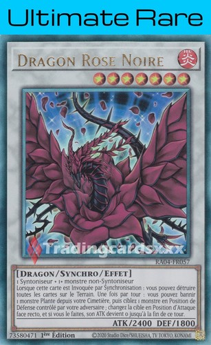 Dragon rose noire - dragon,