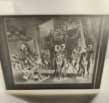 Photo plaque de verre négatif