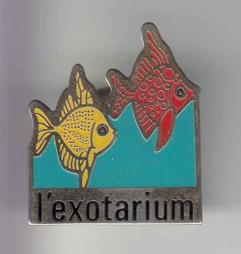 Rare pins pin - rare,