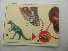 Stikers album PANINI 1992 immage Animaux Prehistorique Prehistoric Vignette #100