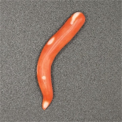 Amulette corail rouge - en,