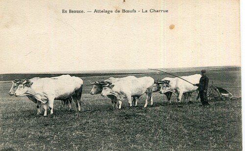Carte agriculture beauce - carte,