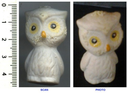 Collection chouette hibou - collection,