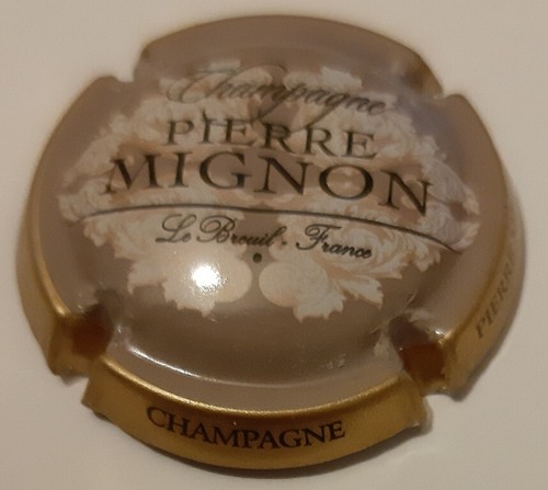 Capsule champagne mignon - champagne,