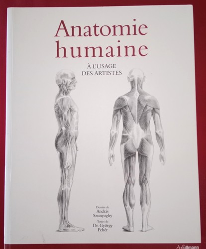 Anatomie humaine usage des - l'usage,