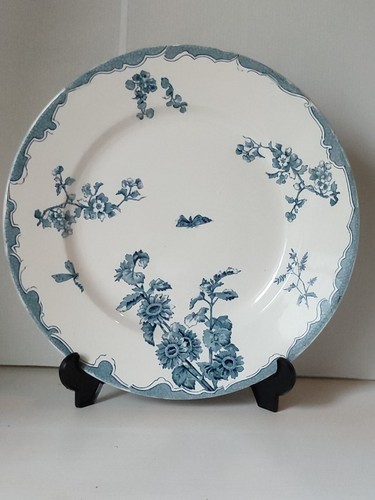 Superbe grand plat - superbe,