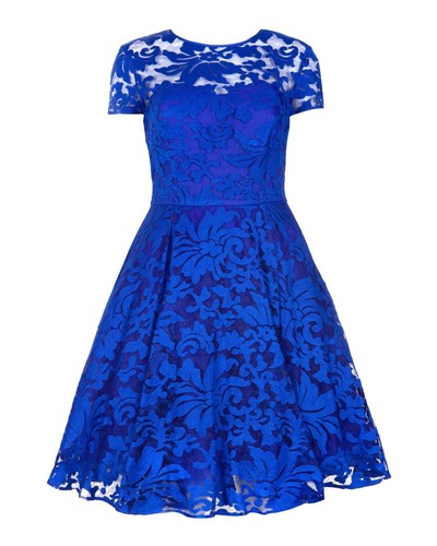 448 nwt ted - nwt,