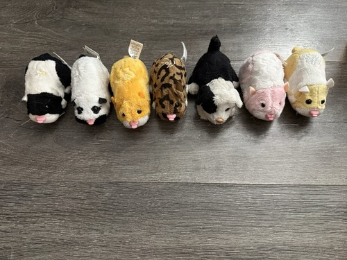 Zhu pets - zhu, lot