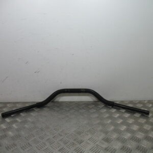 Guidon regal raptor daytona - regal-raptor,