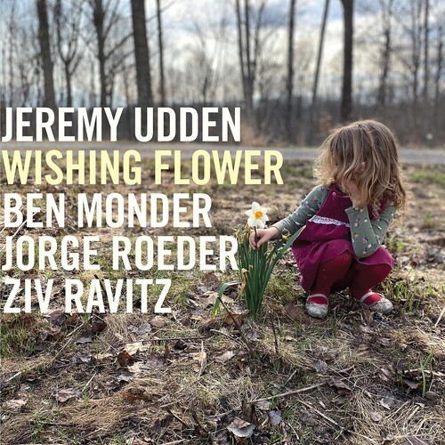 Jeremy udden wishing - udden, flower