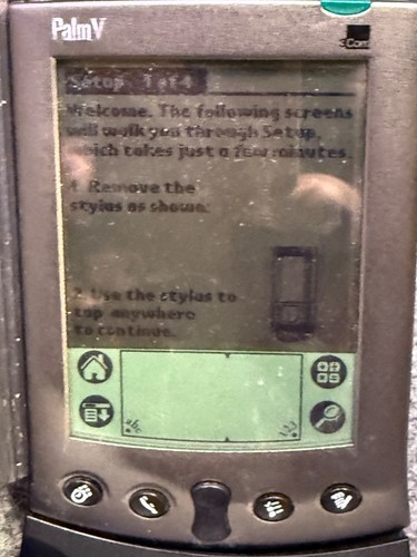 Palm model com - palm,