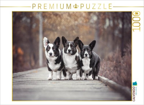 Calvendo puzzle welsh corgi - welsh,