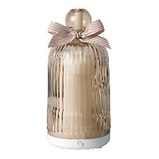 Diffuseur électrique de brume