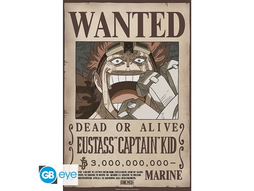 Poster one piece - -, wanted