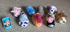 Zhu pets hamster lot - zhu,