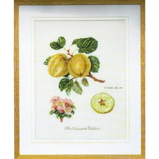 Thea Gouverneur Kit au point de croix compté "Keswick Apple Aida", 26x35cm