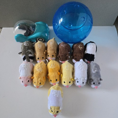 Lot zhu pets - lot,