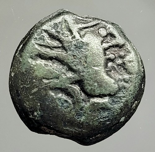 Sénons bronze yllycci l - yllycci,