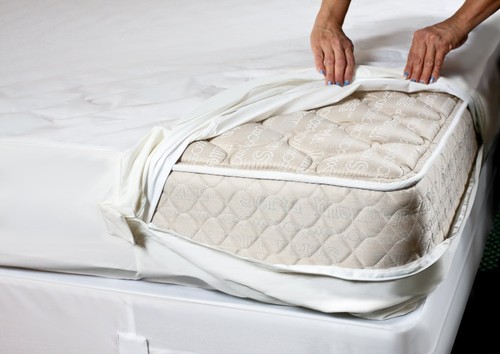 Top seller bed - top, bug