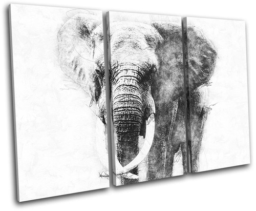 Sketch elephant africa mono - elephant,