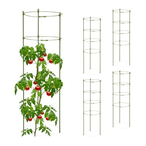 Support plantes grimpantes
