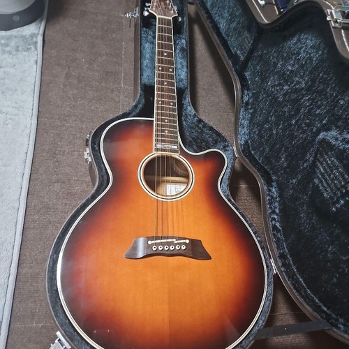 Guitare électrique acoustique