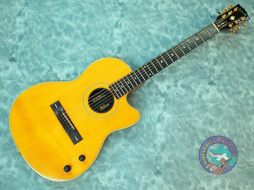 Gibson chet atkins sst - sst, (1991)