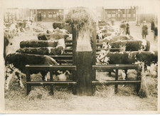 Paris, Concours général