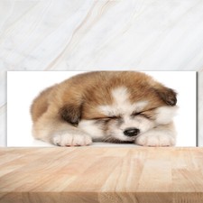 Tulup Panneaux De Cuisine Sur Verre - 125x50cm - Chiot Akita