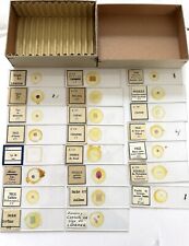 Anciennes 23 Plaques Lames