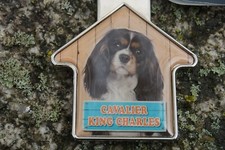 B05 MAGNIFIQUE  PORTE CLE CLES