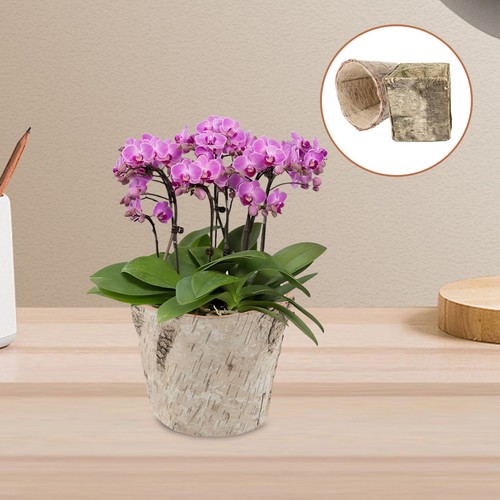 Pcs pot fleur - 2, de