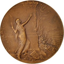 France, Medal, Le Matin