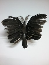 Butterfly decoration made from chicken wings