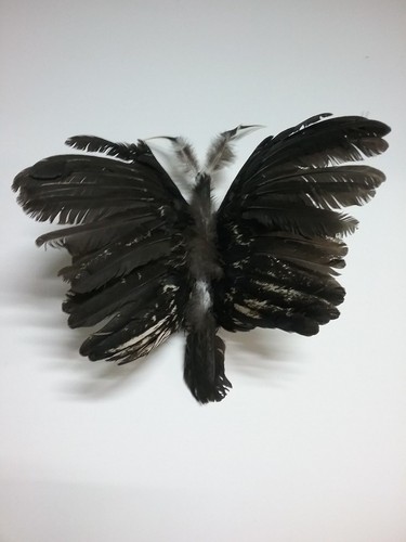 Butterfly decoration made from