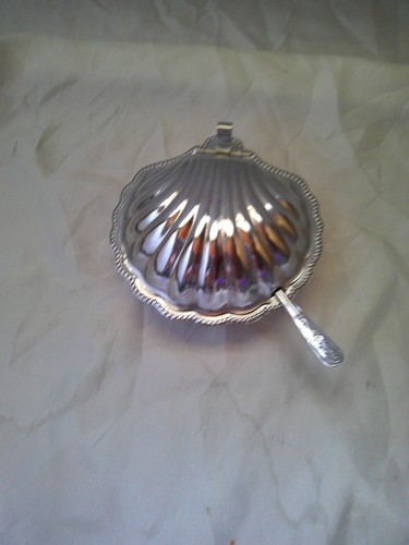 Beurrier coquillage jacques - st,