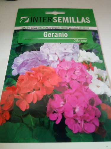 Graines géranium - 10, de