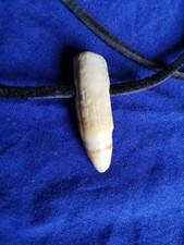 Pendentif Dent De Crocodile